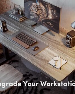 Sit Stand Home Office Desk