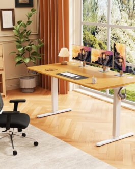 Electric Standing Desk